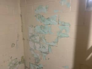 basement wall that is wet and molding