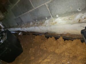 Geochannel and sump pump in crawl space