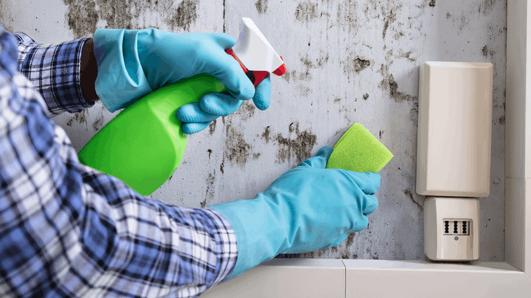 preventing and treating basement mold