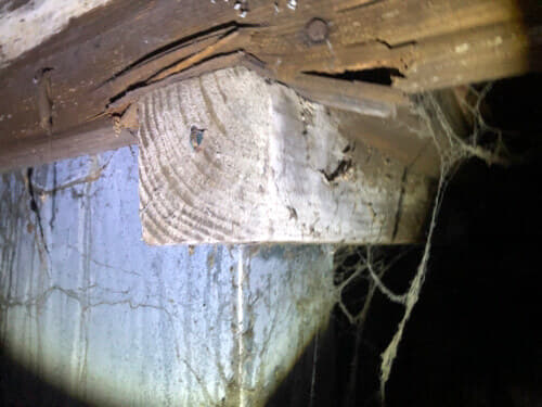 badly decayed joist splintering across support beam