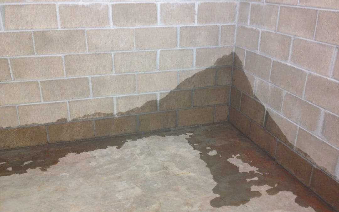 water seeping into basement corner