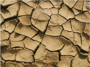 dry cracked earth without plants