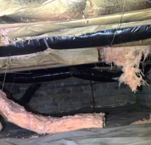 image of molding and falling insulation