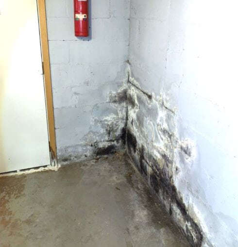 basement corner with mold and water