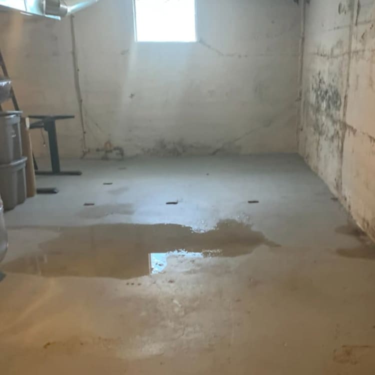st louis wet basement waterproofing