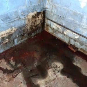 wet basement needing french drain basement system